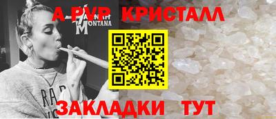 СК Дубна