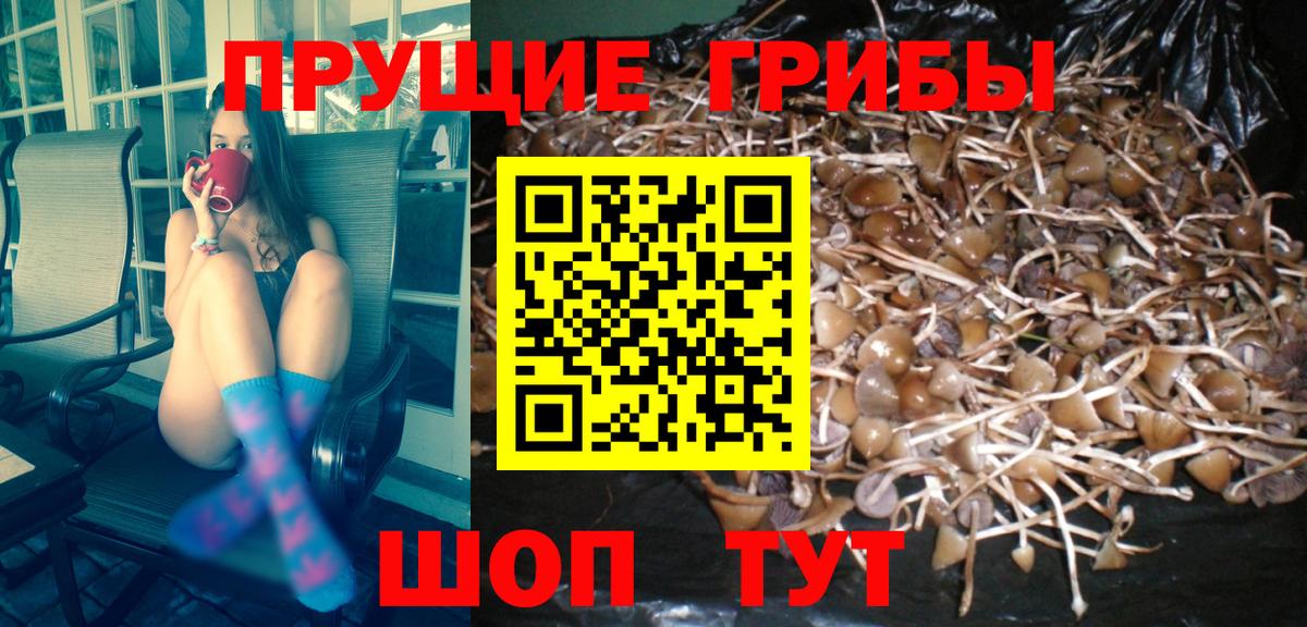 Псилоцибиновые грибы мухоморы Кисловодск